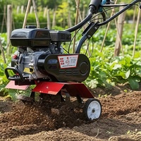 Motoculteur Désherbeur Portable Mini-Cultivateur de Jardin Machine Agricole pour la Culture du Sol