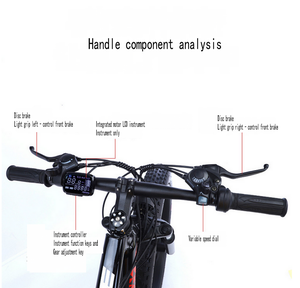 Vélo de montagne électrique de 26 pouces, vélo à neige à assistance électrique, roue intégrée, vitesse variable, vélo de plage - Product Image 6
