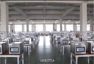 VM300TE/A confezionatrici sottovuoto A camera singola - Product Image 6