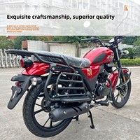 Rak Belakang Haojue DN150 Model Baru, Pijakan Kaki Lipat Samping, Hitam Doff, Tebal, Aksesoris Motor, Kompatibel Haojue Cina