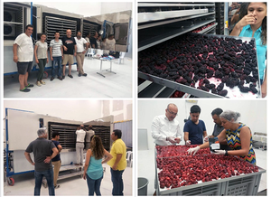 Gran oferta, liofilizador personalizado, secador de aire refrigerado industrial para compresor de aire, congeladores secos para alimentos, frutas - Product Image 4