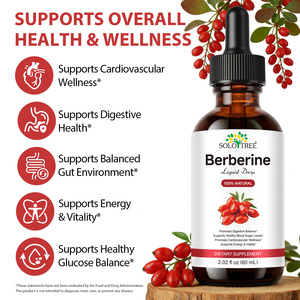 SOLOTREE Bio-Berberin-Tropfen Reiner Extrakt-Tinktur Veganes Flüssiges Berberin-Nahrungsergänzungsmittel für Verdauungsgesundheit & Energie-Unterstützung - Product Image 3