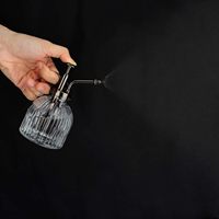 Pulvérisateur à plantes en verre de style vintage 200 ml, bouteille de pulvérisation haute pression pour jardinage d'intérieur, outil d'arrosage manuel, élément décoratif