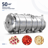 Machine de lyophilisation industrielle Huchuan pour la transformation alimentaire, grande capacité, acier inoxydable SUS304, commande PLC, chauffage au gaz