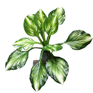 Mur végétal artificiel vertical, simulation de feuilles de <span class=keywords><strong>Hosta</strong></span>, décoration florale pour balcon intérieur, fond de porte - Product Image 5