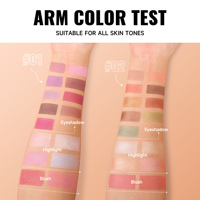Palette de maquillage éclaircissante 3-en-1 HANDAIYAN aux herbes, résistante à l'eau, avec fard à paupières, blush et illuminateur, kit 3 couches, étiquetage ODM
