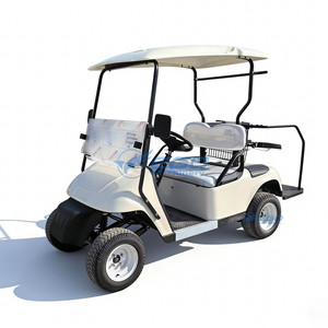 Voiturette de golf électrique la plus vendue, alimentation directe usine, batterie au plomb haute puissance, structure en acier, capacité 2 personnes, meilleur prix - Product Image 1