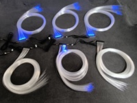 Kit de plafond étoilé à fibres optiques avec source de lumière LED distribuée par fibre optique de 0,5 mm, symphonie dynamique, garantie de 3 ans