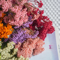 Langdurig bewaarde rijstbloemen bulk, natuurlijke gedroogde rijstbloemen voor thuis, café, hotel en villa interieurdecoratie