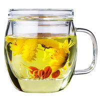 Tasse en verre transparente faite à la main en borosilicate de haute qualité, résistante à la chaleur, 500 ml/17 oz, avec infuseur pour café et thé