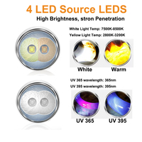 Lampe torche LED UV à six sources lumineuses en alliage d'aluminium, rechargeable par Type-C, 350 lumens, pour l'inspection des bijoux en jade