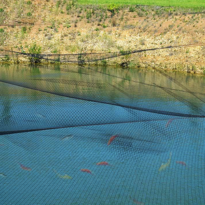 Red antiaves Premium para protección de peces de estanque, bordes reforzados <span class=keywords><strong>Malla</strong></span> de pescado de HDPE negro, red duradera para estanque de peces de jardín - Product Image 6