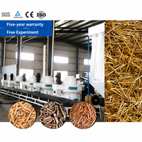 Ligne de production de granulés de sciure de bois LANE, usine de fabrication de granulés de biomasse à partir de sciure, de coques de riz, de paille et de copeaux de bois, fournisseur