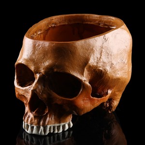 Adornos de <span class=keywords><strong>maceta</strong></span> de <span class=keywords><strong>calavera</strong></span> SKF09, nueva <span class=keywords><strong>maceta</strong></span> de <span class=keywords><strong>calavera</strong></span> de resina para decoración del hogar, artesanías de <span class=keywords><strong>calavera</strong></span> de cabeza humana hechas a mano - Product Image 6