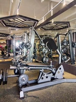 Machine de musculation commerciale professionnelle pour salle de sport, à charge libre, pour squats, extensions de triceps assises et dips