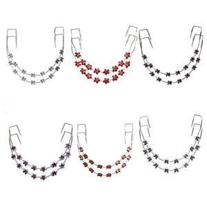 เครื่องมือจัดฟันแฟชั่นสไตล์การ์ตูน ของตกแต่งข้ามพรมแดน มีให้เลือกหลากหลายสี ผลิตจากพลาสติกและโลหะ - Product Image 6