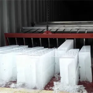 기계 10ton 를 만드는 산업 얼음 생산 라인 얼음 구획