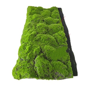 Gazon Artificiel Haut de Gamme pour Festivals et Mariages – Tapis Décoratif Durable, Écologique et Réaliste, Hauteur 4 cm, Grand Volume - Product Image 3