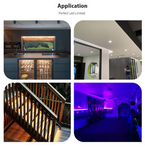 Bande lumineuse LED flexible monocouleur 10 mm DC12V/24V, haute densité 240 LED/m, SMD2216, non étanche, PARFAITE - Product Image 6