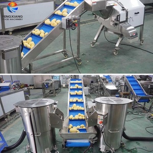 Línea de Producción Comercial de Taro y Batata a Pequeña y Mediana Escala, Máquina Peladora y Cortadora de Batata - Product Image 5