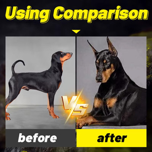 Puxinuo Dog xây dựng cơ bắp bổ sung cho tăng trưởng khối lượng trọng lượng Gainer ứng dụng Flea hỗ trợ chăm sóc sức khỏe bổ sung OEM - Product Image 5