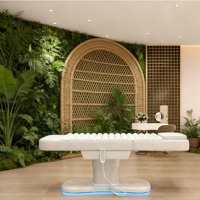 Mobilier de salon de beauté : Lit de massage électrique, table de soin médical, fauteuil de podologie, esthétique