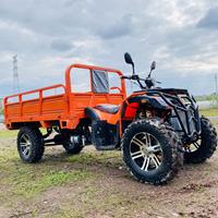 Véhicule tout-terrain pour adultes, quad à essence, moto tout-terrain 300CC, ATV à deux roues à essence pour l'agriculture