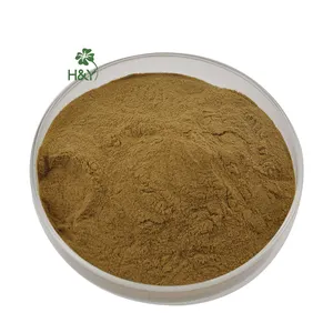 High Quality Organic Lemon Balm Leaf Natural Lemon Balm Extract Powder