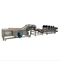 Commerciële Industriële Bubble Fruit Avocado Mango Groente Aardappel Wasmachine/Bevroren Groente Productielijn