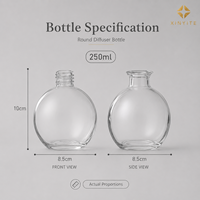 Vase diffuseur sphérique en verre de 250 ml en gros pour la maison et l'hôtel, bouteille en verre d'aromathérapie, logo et couleur personnalisables disponibles