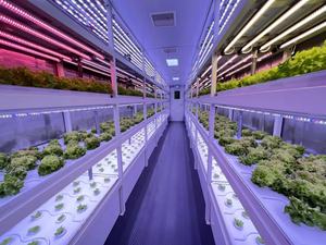 ONE-One Máquina de brotes de forraje hidropónico grande Granjas de contenedores para producir cebada Maíz Brote de maíz para alimentación de aves de corral - Product Image 4