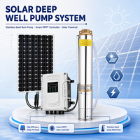 Pompe solaire submersible personnalisée 1300W 4 pouces en acier inoxydable avec moteur AC/DC PMSM et MPPT pour l'irrigation agricole