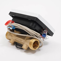 20-Caliber Digital IP68 Prepaid Smart Water Meter-OEM Customizable Optimize Your Water Consumption