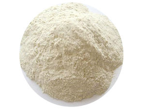 TianJia 식품 등급 Non-GMO 고단백질 생체 밀 글루텐 분말 건조 단백질 코셔 인증 공장 공급 - Product Image 2