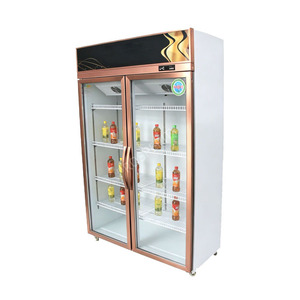 Vitrine réfrigérée à double porte vitrée, refroidie par air, pour boissons, réfrigérateur vertical pour supermarché, idéal pour l'affichage de jus, de lait et de toutes les boissons - Product Image 4
