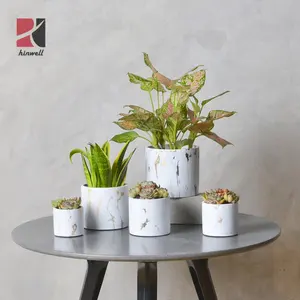 Groothandel Potten Leveranciers 5 Inch Goud Marmer Cement Pot Indoor Beton Bloem Planter Pot Tuinieren Voor Plant