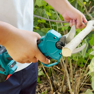 Sécateur Électrique Professionnel Sk5 sur Perche Télescopique de Jardin, sans Fil, Rechargeable, avec Batterie au Lithium - Product Image 6