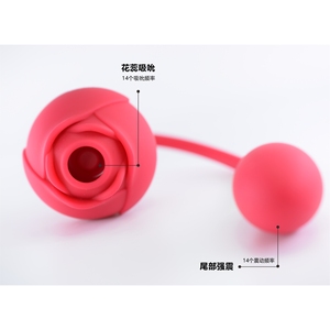 Hot Selling Wearable Bluetooth APP <strong>Vibrator</strong> 10 Vibration Speed Waterproof USB Rechargeable Female Vibrating for Clitoris - Product Image 4