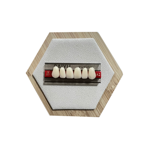 Dentadura de resina sintética de dos capas Anterior personalizada de fábrica <span class=keywords><strong>CAIYU</strong></span>, certificado CE ISO, accesorios de equipo de terapia oral Manual - Product Image 6