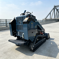 Chargeuse compacte diesel polyvalente de 33 L avec performances de travail stables pour le développement immobilier