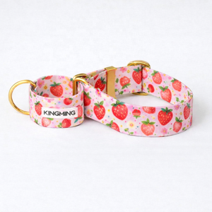 Set Collare e Guinzaglio per Cani Personalizzato in Nylon <span class=keywords><strong>Grigio</strong></span> per Levriero, con Collare da 55mm per Addestramento e Passeggio - Product Image 2