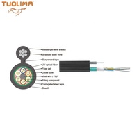 Kabel Fiber Berpelindung FTTH GYTC8S Single Mode Multimode 2-288 Core Outdoor Steel Tape Tahan Air untuk Pemasangan Langsung di Tanah