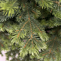 Sapin de Noël de luxe en PE 3D moulé avec branches réalistes, de 1,5m à 2,7m, sans odeur, vente en gros pour la décoration intérieure