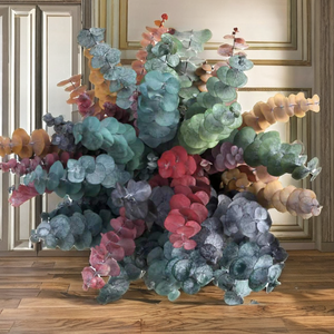 Plantas colgantes de dólar de plata auténtica natural al por mayor hojas de eucalipto preservadas secas para decoraciones de ducha de boda en casa - Product Image 5