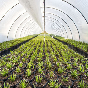 농업용 5 층 자외선 차단 플라스틱 온실 필름 - Product Image 5