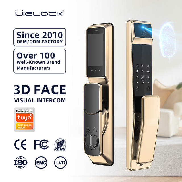 UIELOCK QB40 Smartlock Oem Electronic Biometric Fingerprint Gate Smart Digital Exterior Security Front Door Lock With Camera