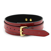 Rotes PU-Leder Halsband und Leine Set für Männer und Frauen