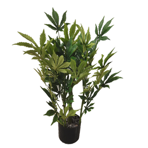 Planta de plástico artificial de 100cm de altura, marihuana sintética con hoja de tela, decoración única y llamativa - Product Image 5