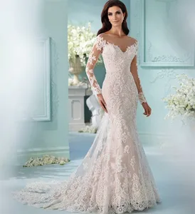 Europe And The United States New Wedding Dress Sexy Fishtail Lace Long-sleeved Mop Wedding Bride Wedding Dress
