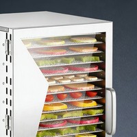 Aanpasbare industriële voedseldroger, efficiënte machine voor gedroogd fruit voor voedselverwerkingsmachines